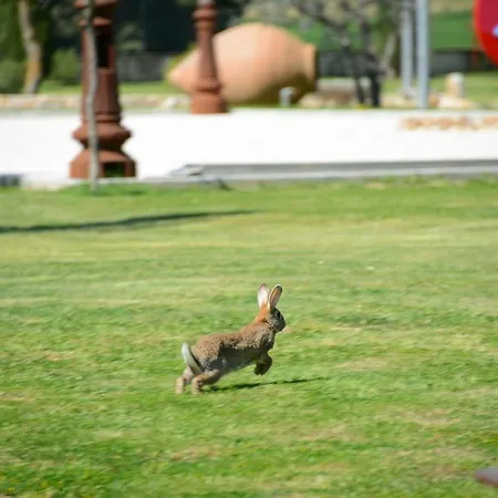 Residenza Bocci Apartahotel